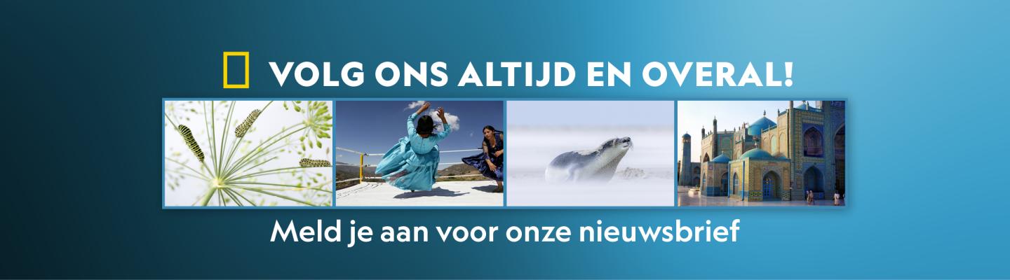Meld je nu aan voor de gratis nieuwsbrief van National Geographic